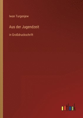 Iwan Turgenjew - Aus der Jugendzeit, Häftad
