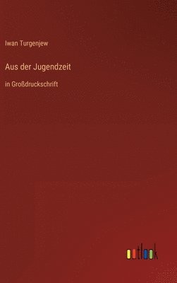 Iwan Turgenjew - Aus der Jugendzeit, Inbunden