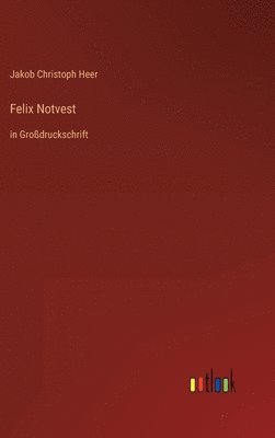 bokomslag Felix Notvest