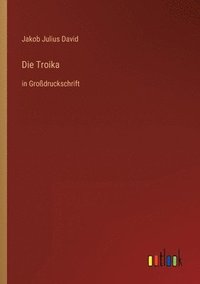 bokomslag Die Troika