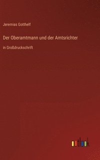 bokomslag Der Oberamtmann und der Amtsrichter