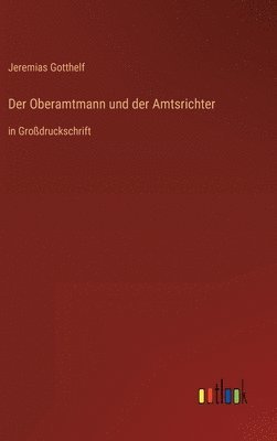 bokomslag Der Oberamtmann und der Amtsrichter