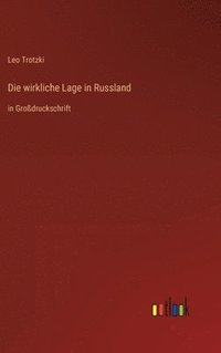 bokomslag Die wirkliche Lage in Russland