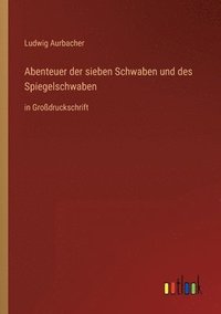 bokomslag Abenteuer der sieben Schwaben und des Spiegelschwaben