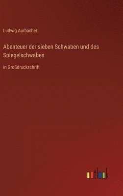 bokomslag Abenteuer der sieben Schwaben und des Spiegelschwaben