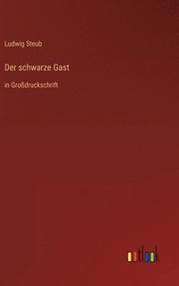 bokomslag Der schwarze Gast