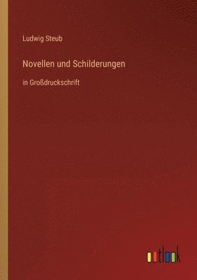 bokomslag Novellen und Schilderungen