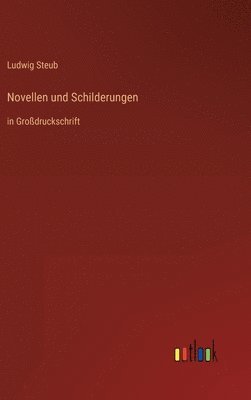 bokomslag Novellen und Schilderungen