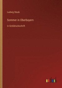bokomslag Sommer in Oberbayern