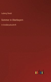 bokomslag Sommer in Oberbayern