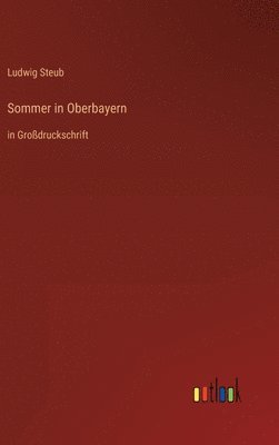 bokomslag Sommer in Oberbayern