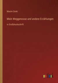 bokomslag Mein Weggenosse und andere Erzählungen