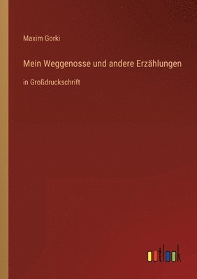 bokomslag Mein Weggenosse und andere Erzählungen