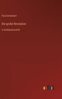 bokomslag Die groe Revolution