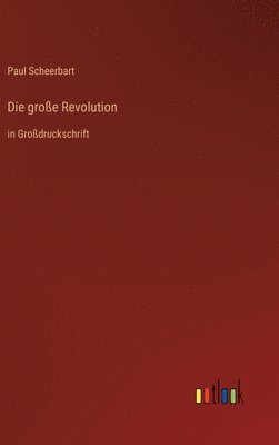 bokomslag Die groe Revolution