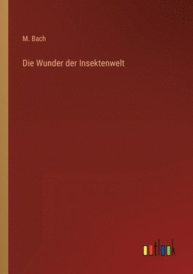 Wunder der Insektenwelt
