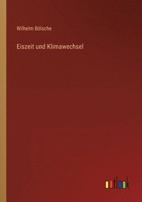 bokomslag Eiszeit und Klimawechsel