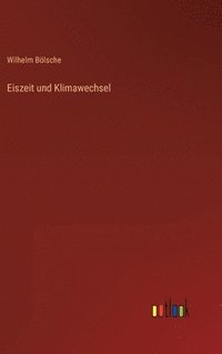 bokomslag Eiszeit und Klimawechsel