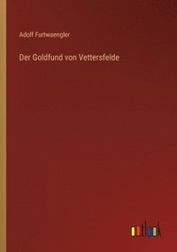 bokomslag Der Goldfund von Vettersfelde