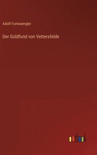 bokomslag Der Goldfund von Vettersfelde