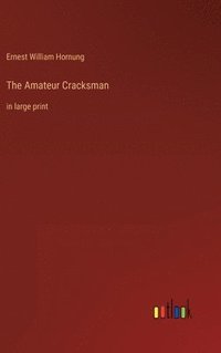 bokomslag Amateur Cracksman