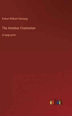 bokomslag The Amateur Cracksman