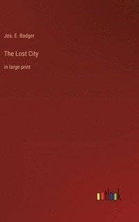 bokomslag The Lost City