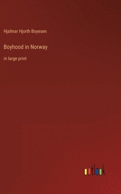 bokomslag Boyhood in Norway