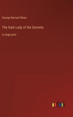 bokomslag Dark Lady of the Sonnets