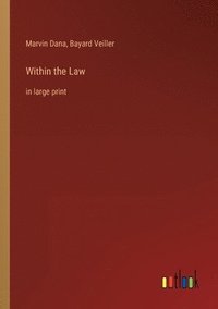 bokomslag Within the Law