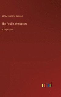 bokomslag The Pool in the Desert