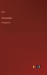bokomslag Parmenides