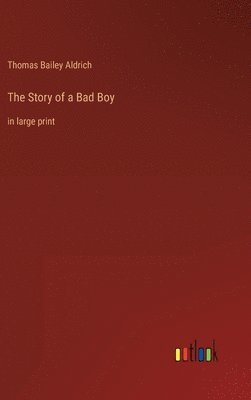 Story of a Bad Boy