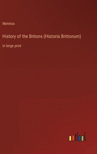 bokomslag History of the Britons (Historia Brittonum)