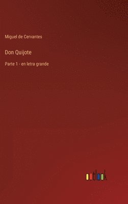 bokomslag Don Quijote
