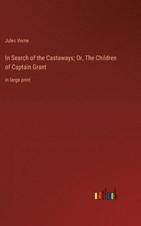 bokomslag In Search of the Castaways; Or, The Children of Captain Grant