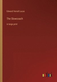 bokomslag The Slowcoach