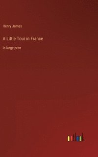 bokomslag Little Tour in France