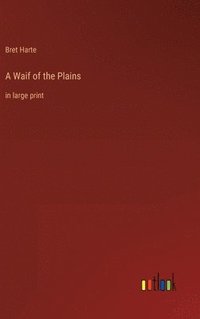 bokomslag Waif of the Plains