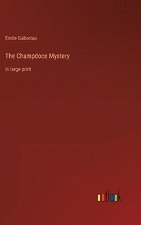 bokomslag The Champdoce Mystery