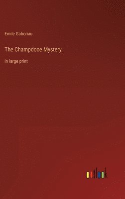 bokomslag The Champdoce Mystery