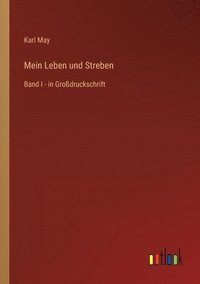 bokomslag Mein Leben und Streben