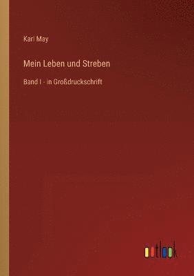 bokomslag Mein Leben und Streben