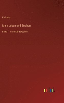 bokomslag Mein Leben und Streben