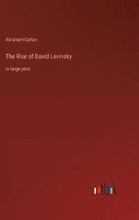 bokomslag The Rise of David Levinsky