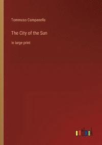 bokomslag The City of the Sun