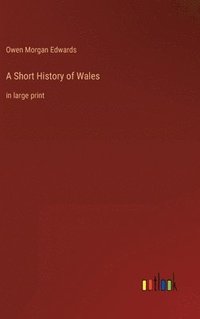 bokomslag A Short History of Wales