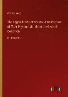 bokomslag The Pagan Tribes of Borneo; A Description of Their Physical Moral and Intellectual Condition