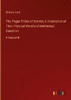 bokomslag The Pagan Tribes of Borneo; A Description of Their Physical Moral and Intellectual Condition