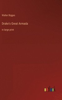 bokomslag Drake's Great Armada